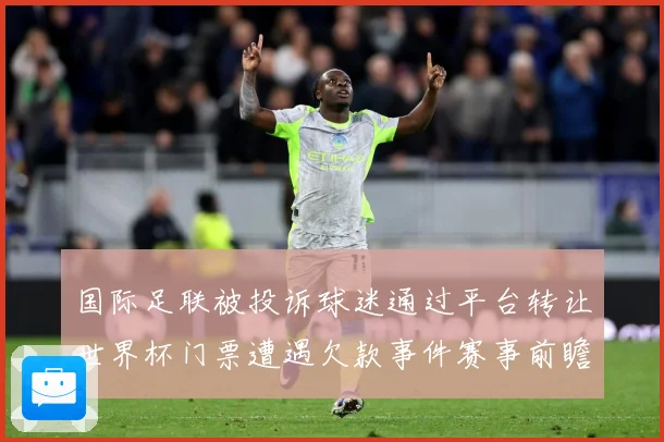 国际足联被投诉球迷通过平台转让世界杯门票遭遇欠款事件赛事前瞻-深度解析